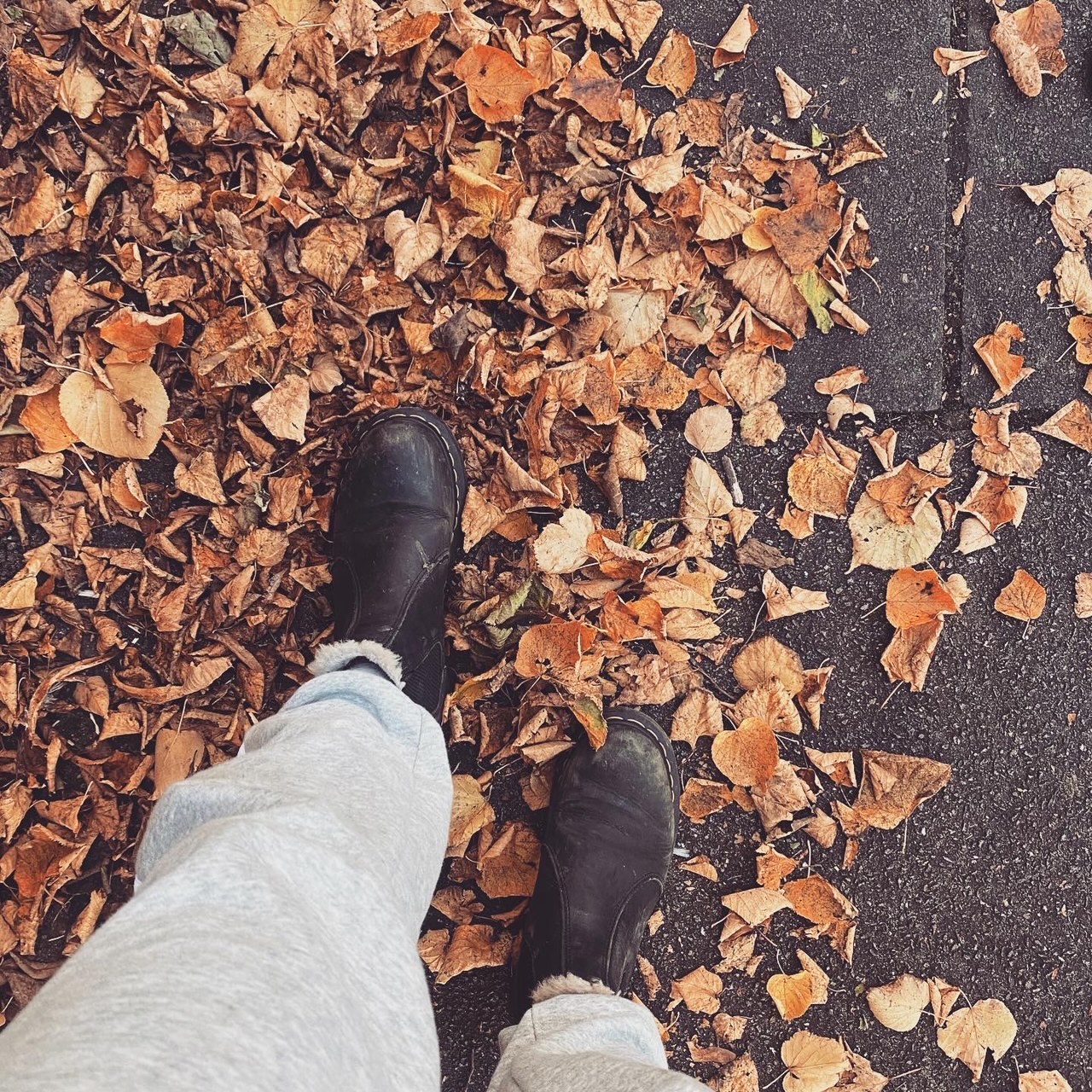 Boots in leaves image taken on a 35mm film camera